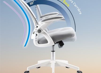 Fauteuil de Bureau Ergonomique avec Support Lombaire - Chaise de Bureau et Domicile - Hauteur et Accoudoirs Réglables - Certifié BIFMA - GERTTRONY