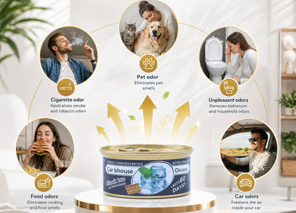 Désodorisant d'Ambiance Organique – Parfum Chewing-Gum – Format Solide – 3 Blocs Anti-Fuite par Boîte – Sans Produits Chimiques Dangereux – Pour Voiture, Maison, Bureau, Salle de Bain – Nouvelle odeur de voiture