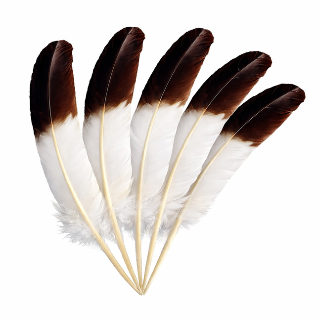 Lot de 10 Plumes Naturelles de Dinde – Noir et Blanc – 25-30 cm – Matériel Haut de Gamme pour Artisanat, Décoration Mariage, DIY, Accessoires de Fête et Créations de Bijoux