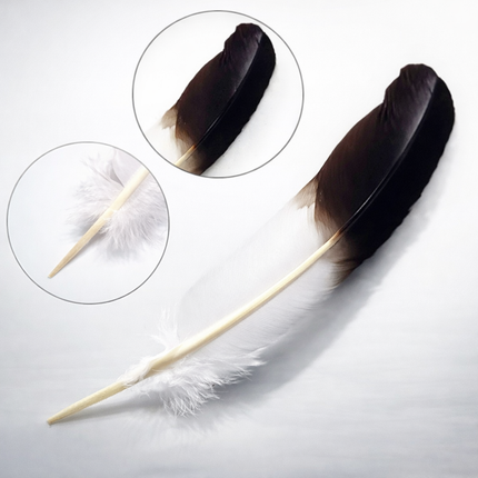 Lot de 10 Plumes Naturelles de Dinde – Noir et Blanc – 25-30 cm – Matériel Haut de Gamme pour Artisanat, Décoration Mariage, DIY, Accessoires de Fête et Créations de Bijoux