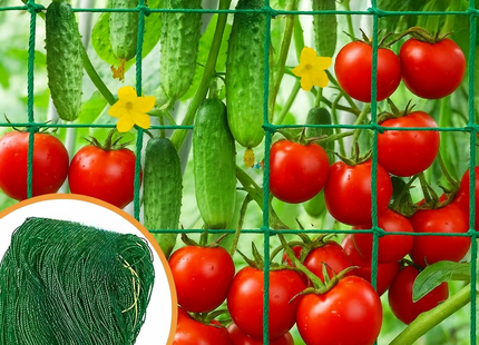 Treillis de Jardin Solide en Nylon – Filet de Support pour Plantes Grimpantes et Légumes – Mailles Carrées Résistantes