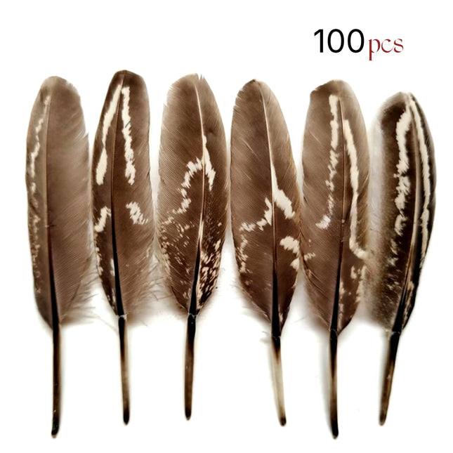 Paquete de 100 plumas naturales de faisán macho de collar – Remiges finas de 5-9 cm – Material profesional de bricolaje para accesorios de escenario, disfraces, creaciones ornitológicas y otros usos