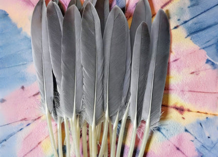 Paquete de 200 Plumas de Ganso Naturales 10-15 cm – Color Original – Material en Bruto para Creaciones Artesanales, Atrapasueños, Máscaras, Accesorios de Escenario y otros usos