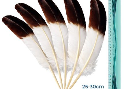 Lot de 10 Plumes Naturelles de Dinde – Noir et Blanc – 25-30 cm – Matériel Haut de Gamme pour Artisanat, Décoration Mariage, DIY, Accessoires de Fête et Créations de Bijoux