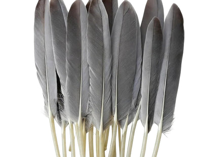 Paquete de 200 Plumas de Ganso Naturales 10-15 cm – Color Original – Material en Bruto para Creaciones Artesanales, Atrapasueños, Máscaras, Accesorios de Escenario y otros usos
