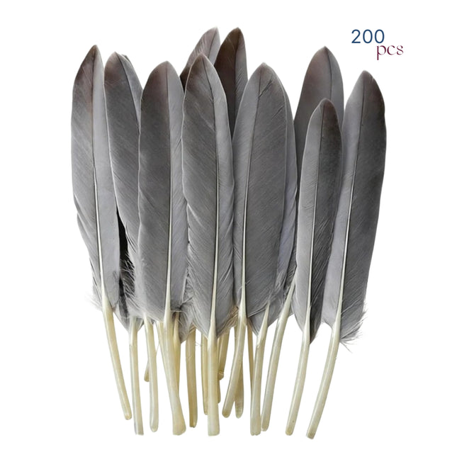 Paquete de 200 Plumas de Ganso Naturales 10-15 cm – Color Original – Material en Bruto para Creaciones Artesanales, Atrapasueños, Máscaras, Accesorios de Escenario y otros usos