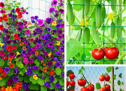 Treillis de Jardin Solide en Nylon – Filet de Support pour Plantes Grimpantes et Légumes – Mailles Carrées Résistantes