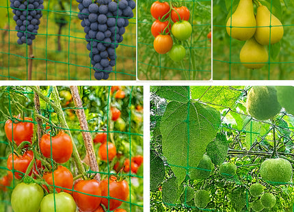 Treillis de Jardin Solide en Nylon – Filet de Support pour Plantes Grimpantes et Légumes – Mailles Carrées Résistantes