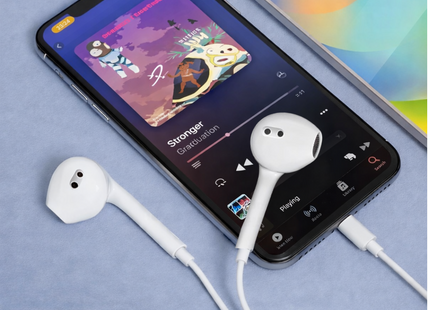 Écouteurs Filaire Type-C & Lightning Compatibles iPhone 8 à 17 Pro Max | Casque Intra-auriculaire avec ANC pour iPad, MacBook